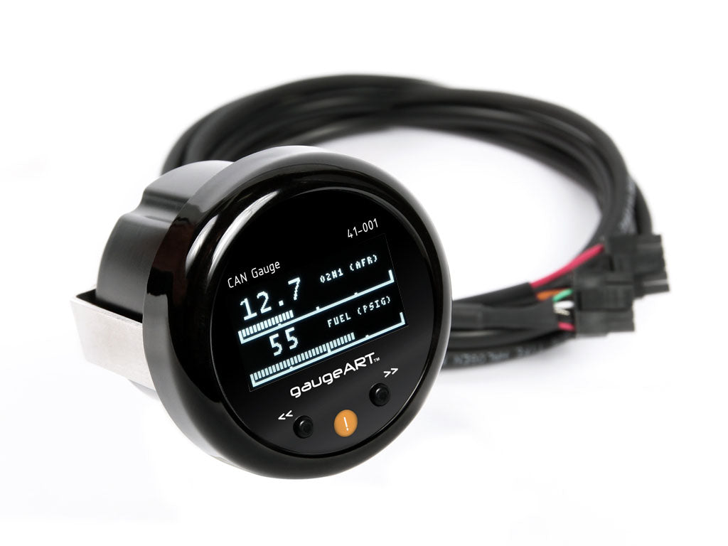 CAN Gauge